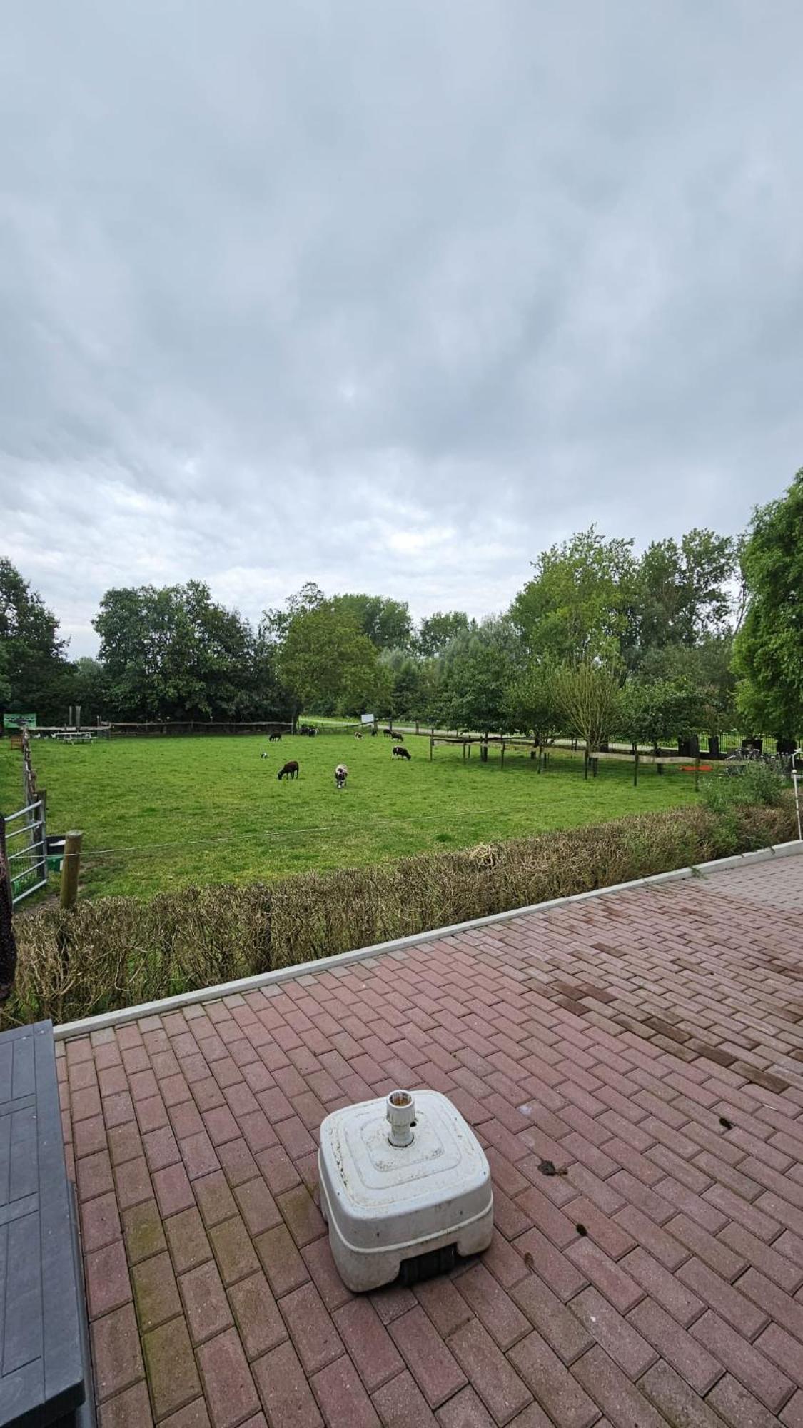 Tricht Landelijke Huis In De Betuwe المظهر الخارجي الصورة